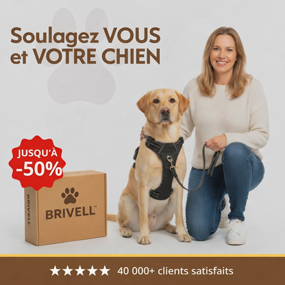 Harnais Anti-Traction Intelligent Brivell™