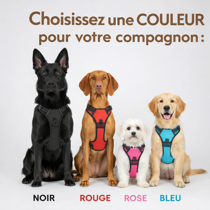 Harnais Anti-Traction Intelligent Brivell™