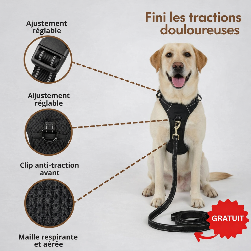 Harnais Anti-Traction Intelligent Brivell™