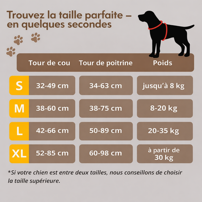 Harnais Anti-Traction Intelligent Brivell™